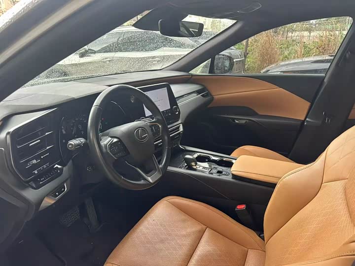 Lexus RX 2023 2023款 350h 两驱舒享版