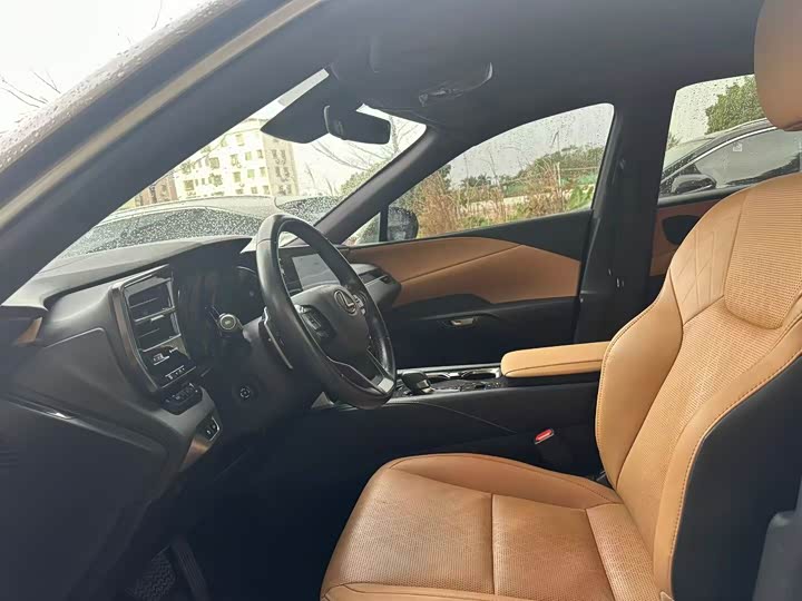 Lexus RX 2023 2023款 350h 两驱舒享版