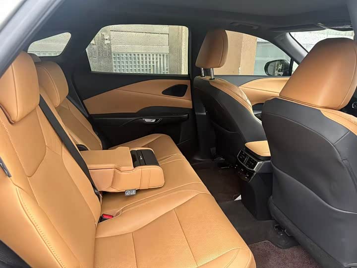 Lexus RX 2023 2023款 350h 两驱舒享版