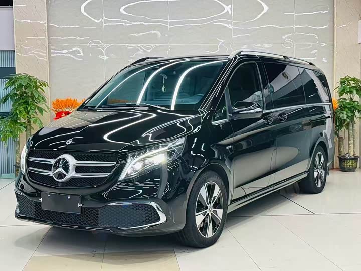 Mercedes-Benz V-Class 2022 2022款 V 260 尊贵版