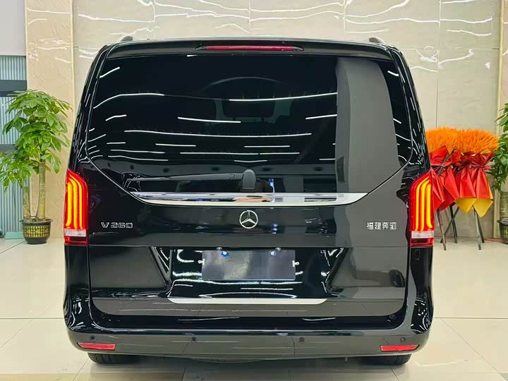 Mercedes-Benz V-Class 2022 2022款 V 260 尊贵版