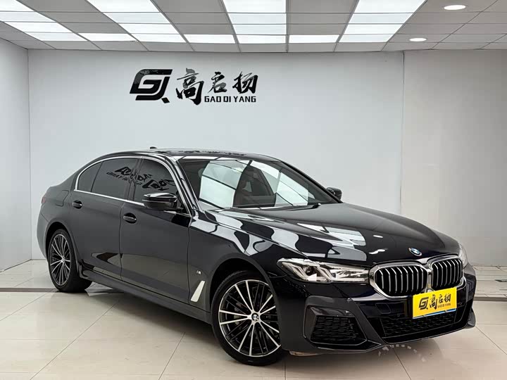 Zdjęcie 3 - BMW 5 Series