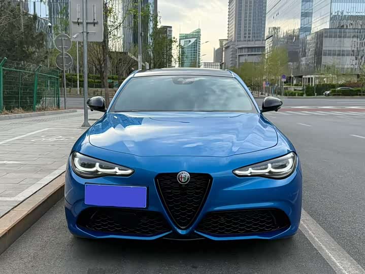 Alfa Romeo Giulia 2023 2023款 2.0T 280HP 赛道版
