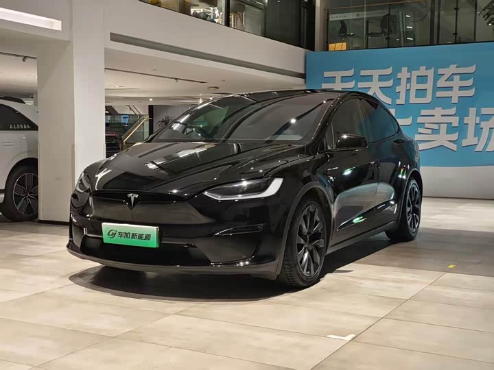 Tesla Model X 2023 2023款 双电机全轮驱动版