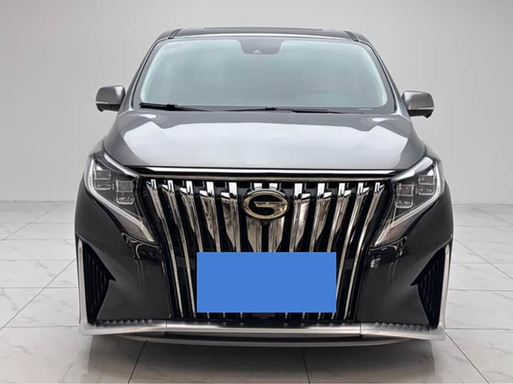 GAC Trumpchi M8 2021 2021款 大师系列 390T 四座御尊版
