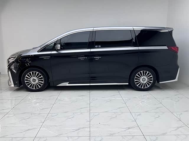 GAC Trumpchi M8 2021 2021款 大师系列 390T 四座御尊版