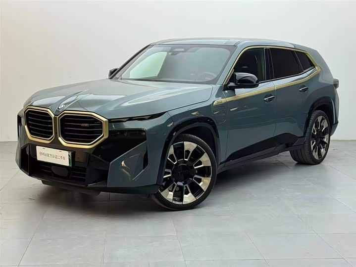 BMW XM 2023 2023款 基本型