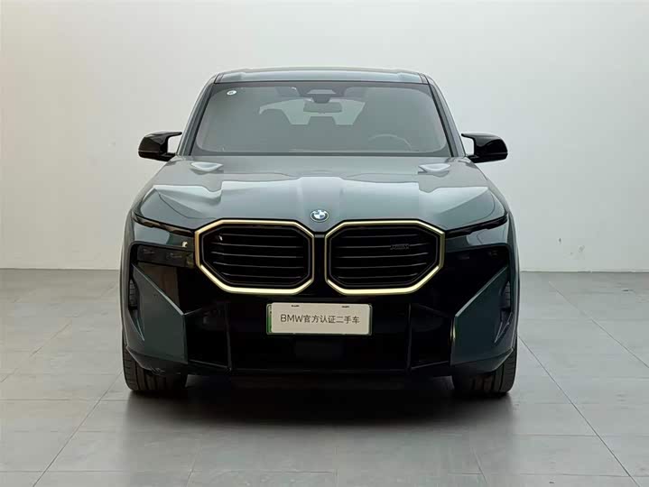 BMW XM 2023 2023款 基本型