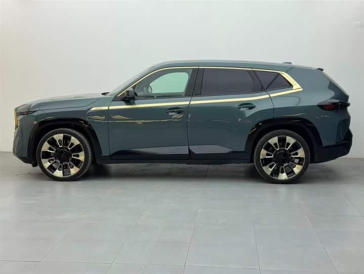 BMW XM 2023 2023款 基本型