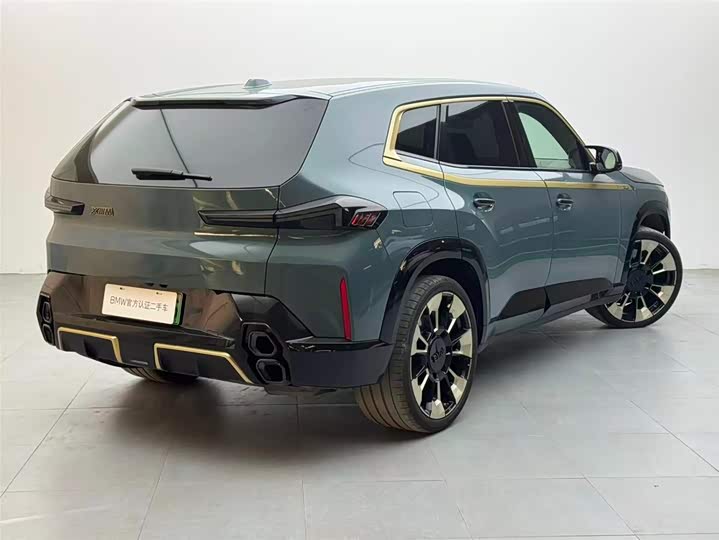 BMW XM 2023 2023款 基本型