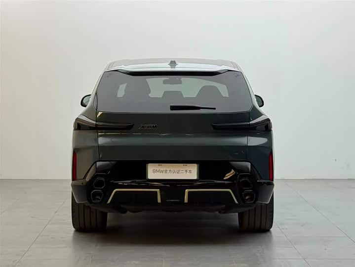 BMW XM 2023 2023款 基本型