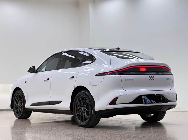 Zdjęcie 5 - IM motors LS6