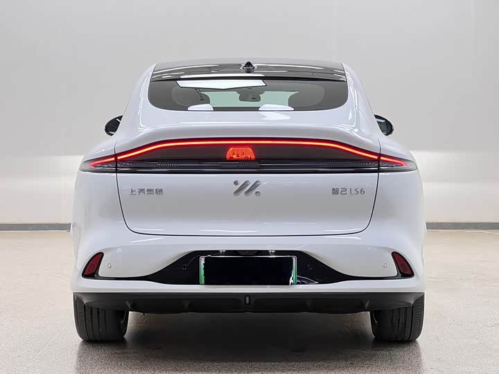 Zdjęcie 6 - IM motors LS6