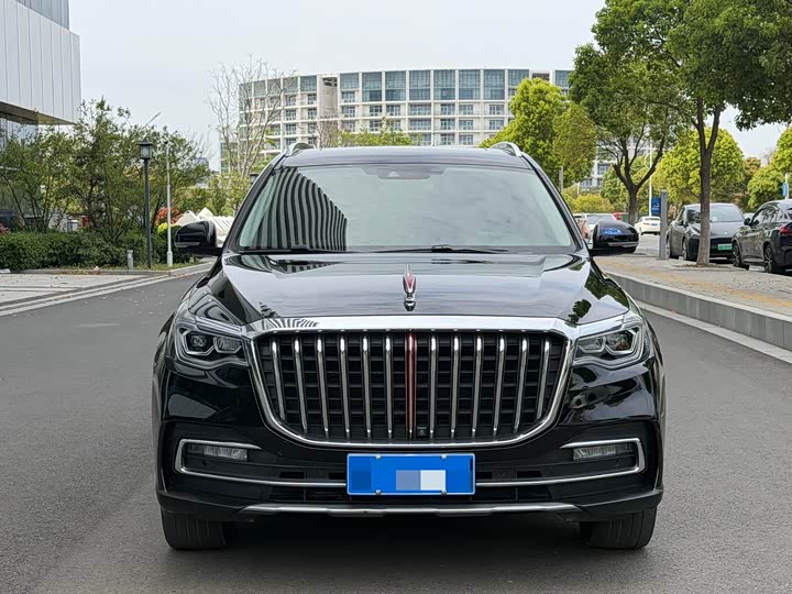 Фото 1 - Hongqi HS7