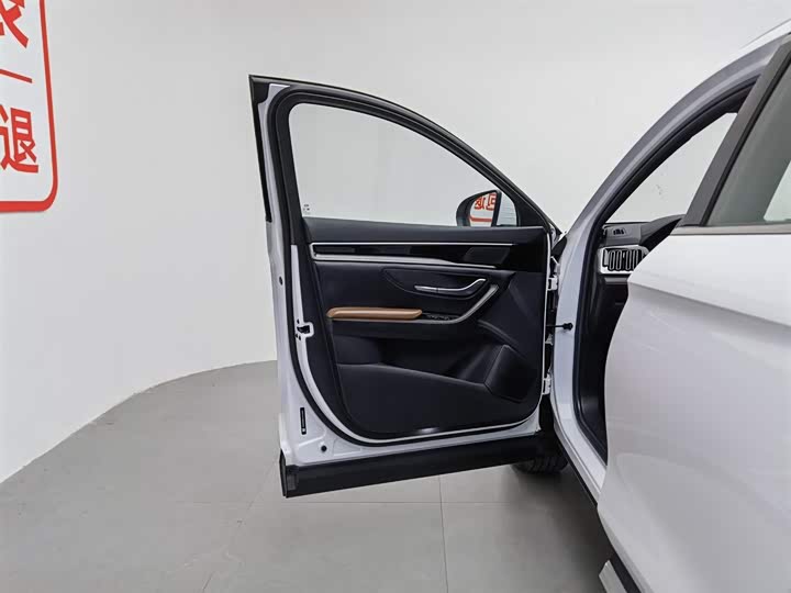 BYD Song Plus 2020 2020款 1.5T 自动豪华型