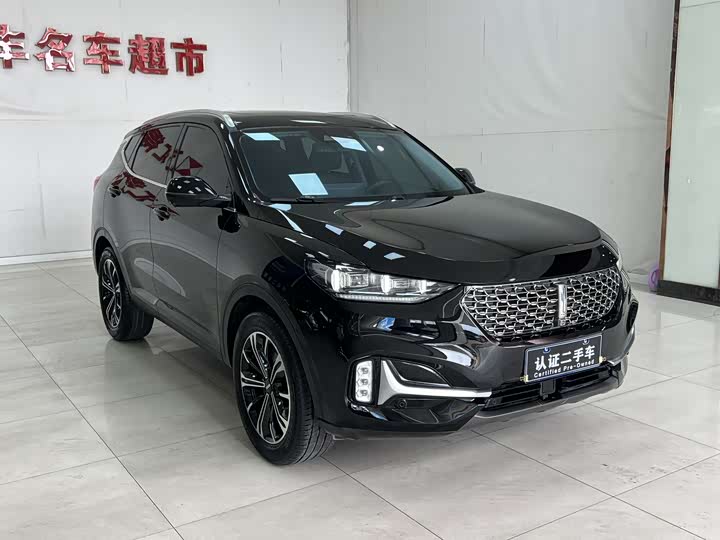 2021 Wey VV6