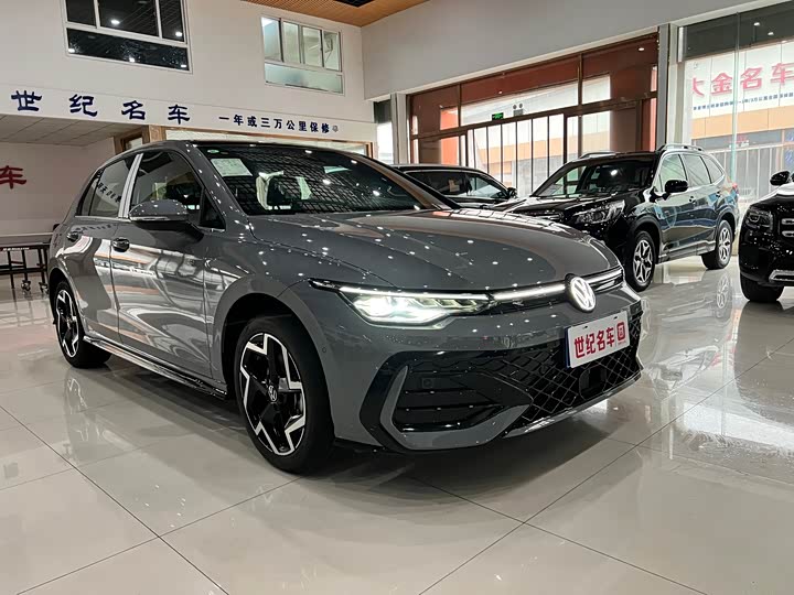 Volkswagen Golf 2025 2025款 改款 300TSI R-Line