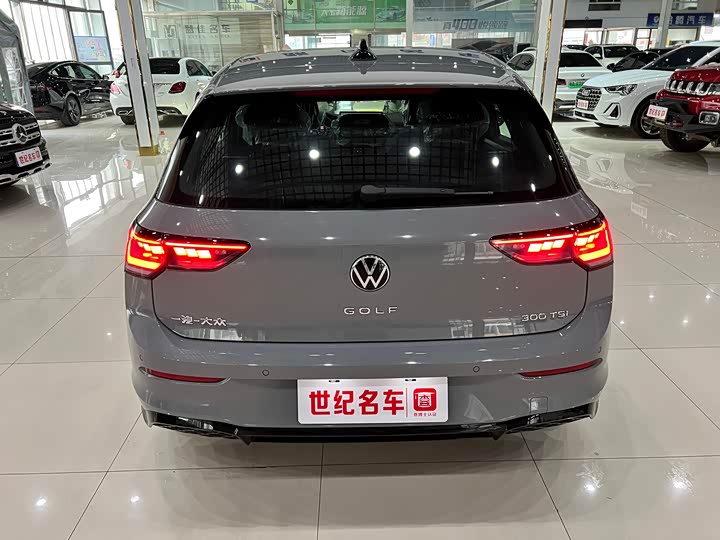 Volkswagen Golf 2025 2025款 改款 300TSI R-Line