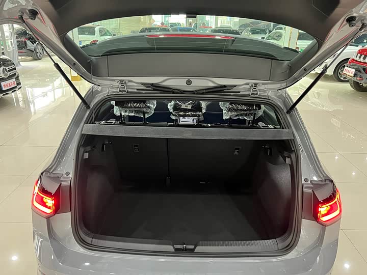 Volkswagen Golf 2025 2025款 改款 300TSI R-Line