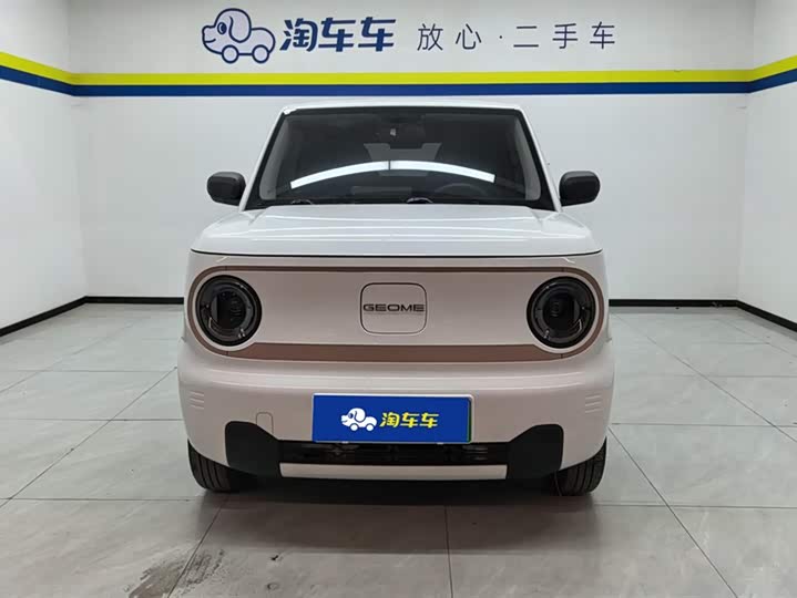 Geely Galaxy Panda Mini 2023 2023款 熊猫mini 200km 耐力熊