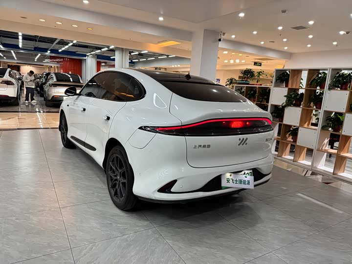 Zdjęcie 9 - IM motors LS6
