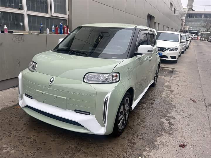 2022 Ora White Cat