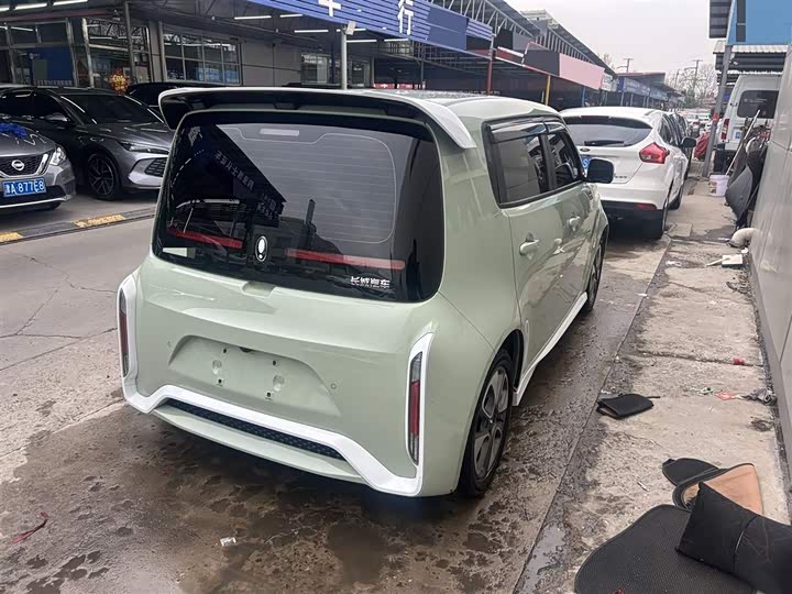 2022 Ora White Cat