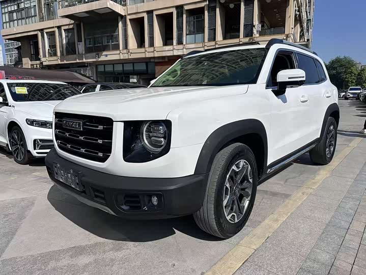 Фото 1 - Haval Dargo
