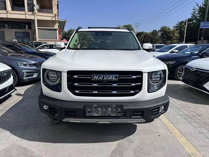 Фото 2 - Haval Dargo