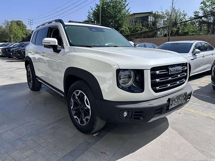 Фото 3 - Haval Dargo