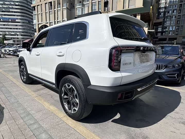 Фото 4 - Haval Dargo