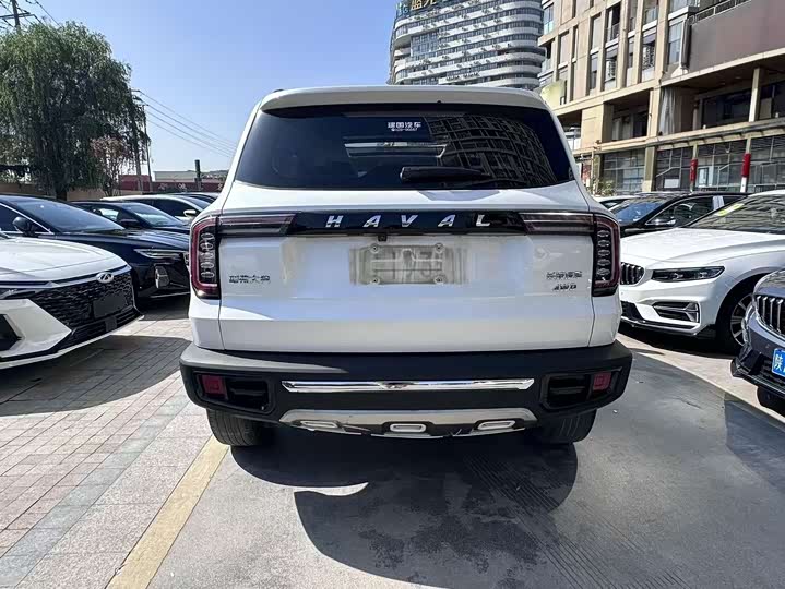 Фото 5 - Haval Dargo