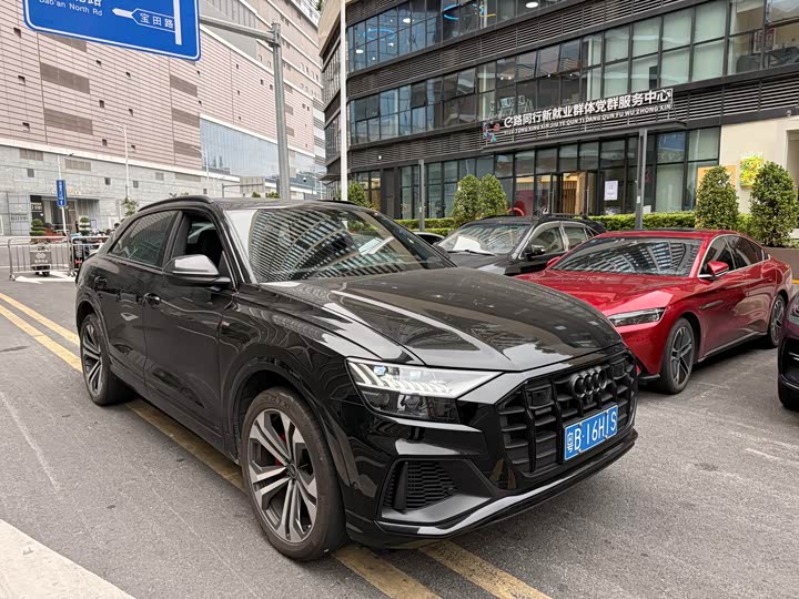Audi Q8 2024 2024款 55 TFSI 尊享动感型