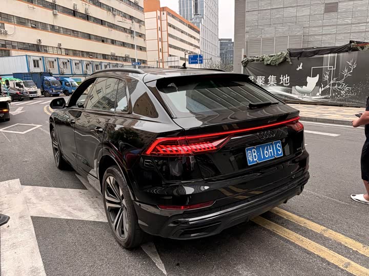 Audi Q8 2024 2024款 55 TFSI 尊享动感型