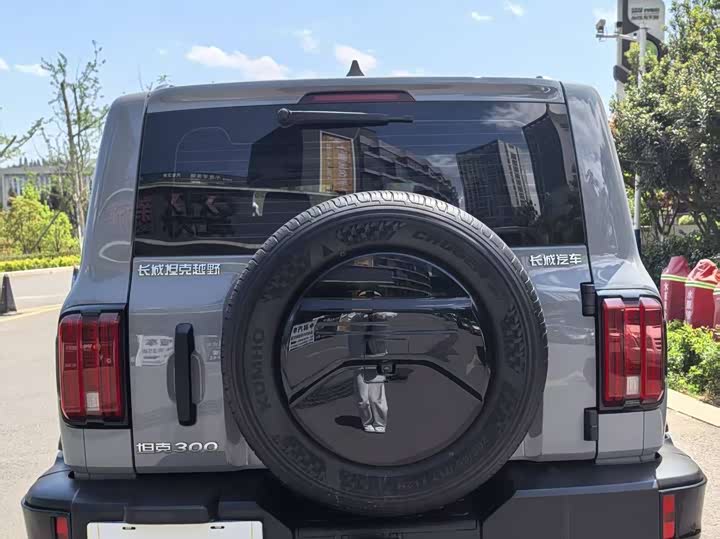 Photo 6 - Tank 300