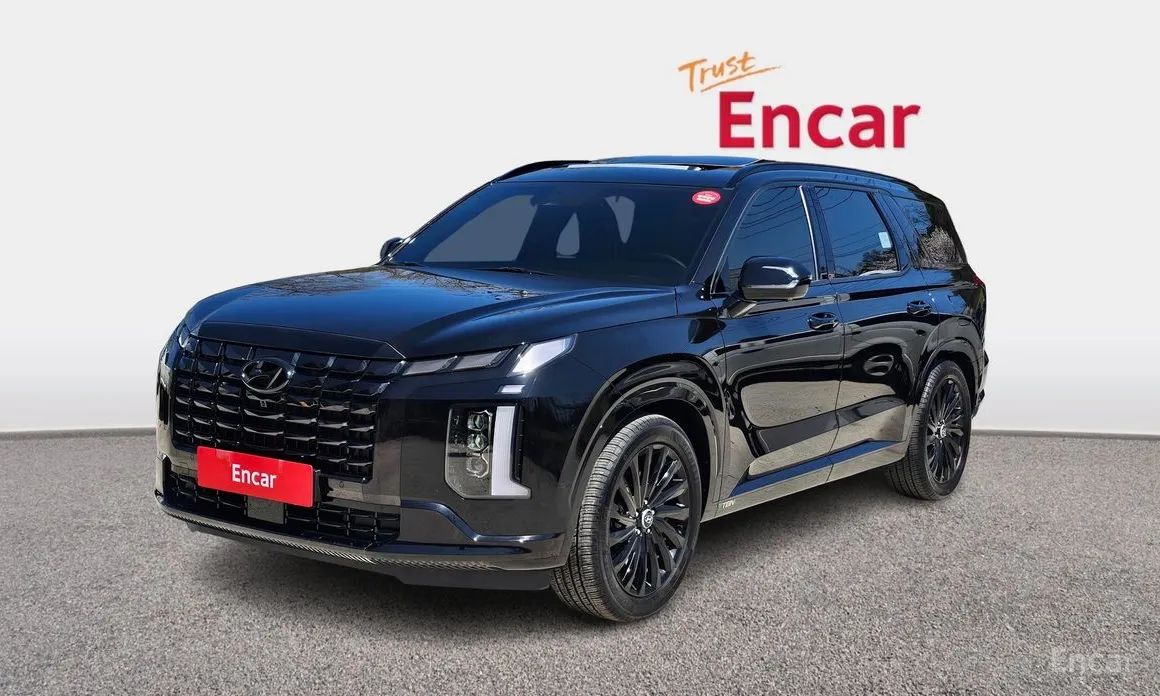 صورة 1 - Hyundai Palisade