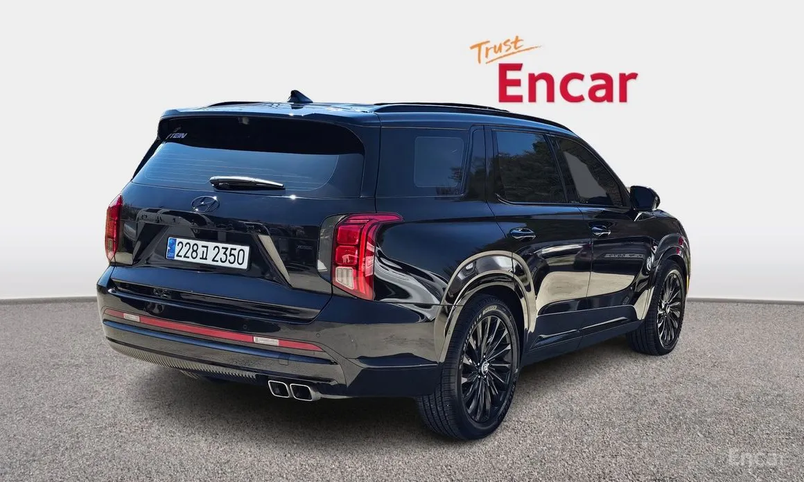 صورة 2 - Hyundai Palisade