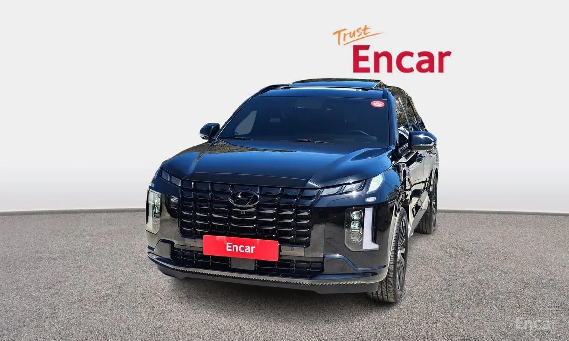 صورة 3 - Hyundai Palisade