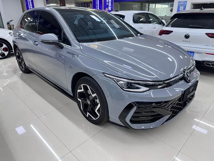 Volkswagen Golf 2025 2025款 300TSI R-Line