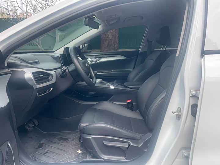 Geely Geometry A 2024 2024款 410KM 出行版