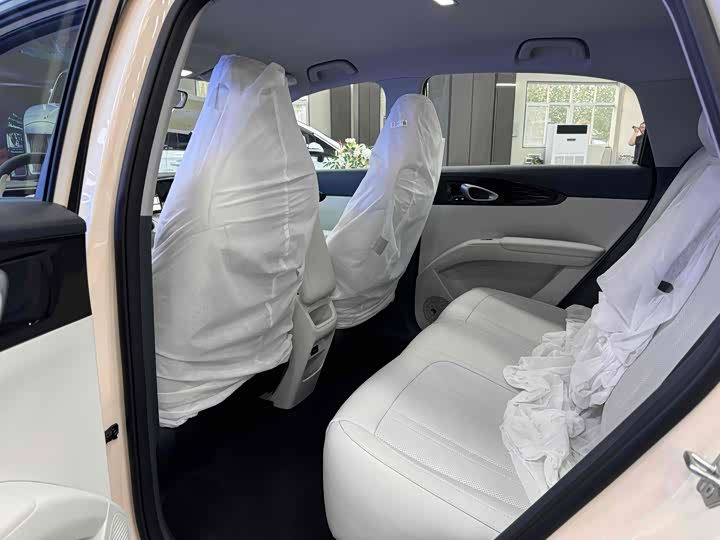 Geely Galaxy Geome 2026 2026款 310km 梦想版