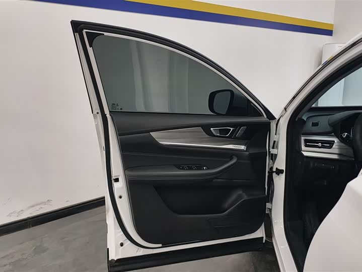 Chery Tiggo 8 2021 2021款 鲲鹏版 290TGDI 自动逐风版