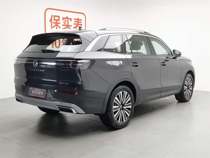 Volkswagen Tavendor 2024 2024款 330TSI 豪华巡逸 众享款