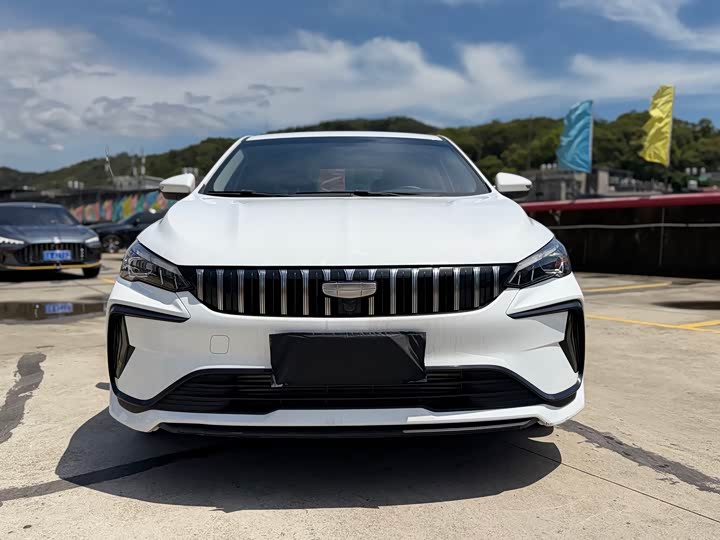 2024 Geely Binrui