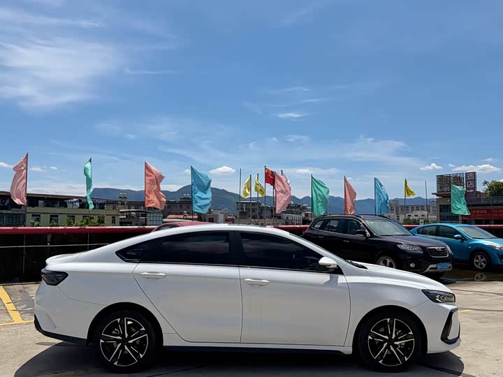 2024 Geely Binrui