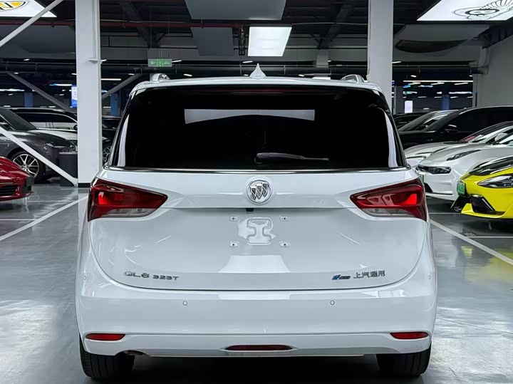 Фото 8 - Buick GL6