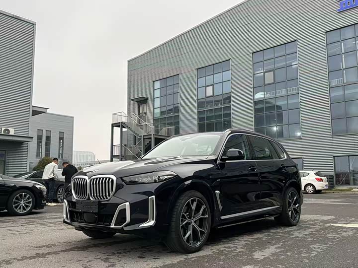 Zdjęcie 1 - BMW X5