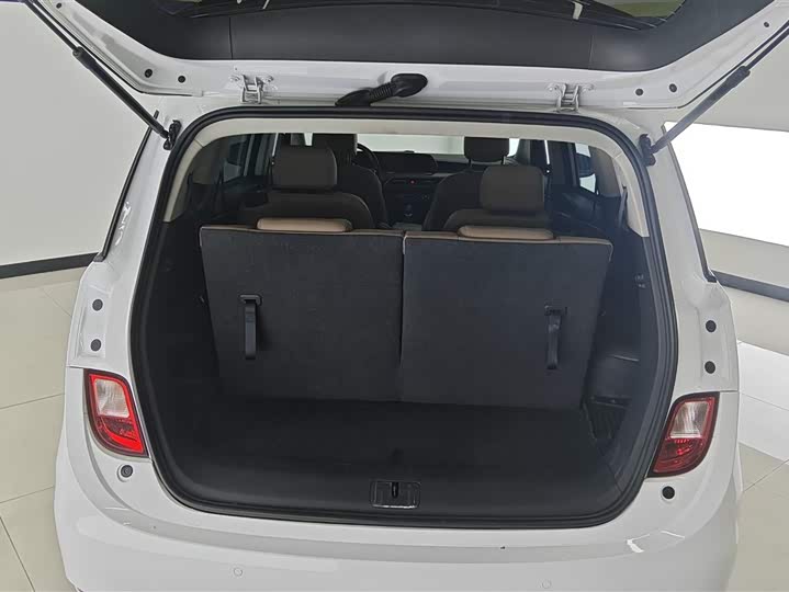 Фото 4 - Buick GL6