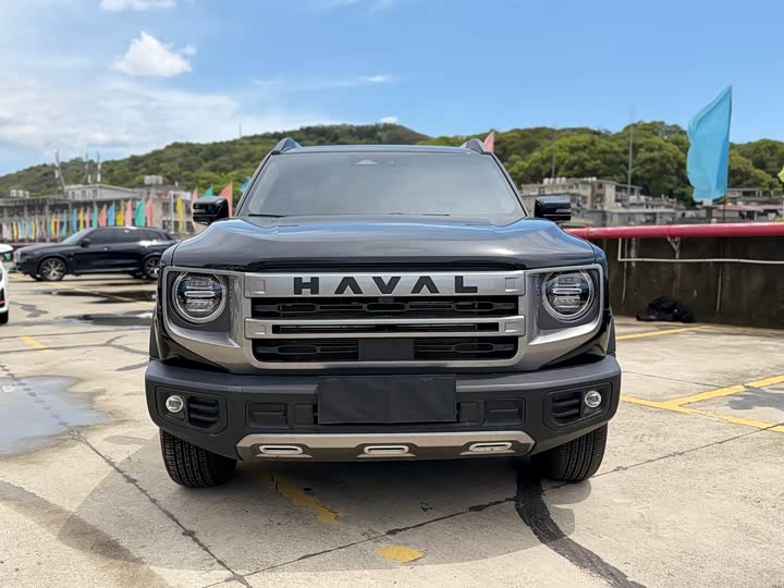 Фото 2 - Haval Dargo