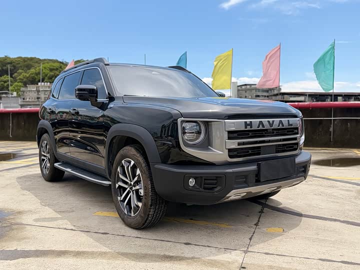 Фото 3 - Haval Dargo